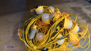 110v festoon lights - 2