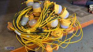110v festoon lights - 3