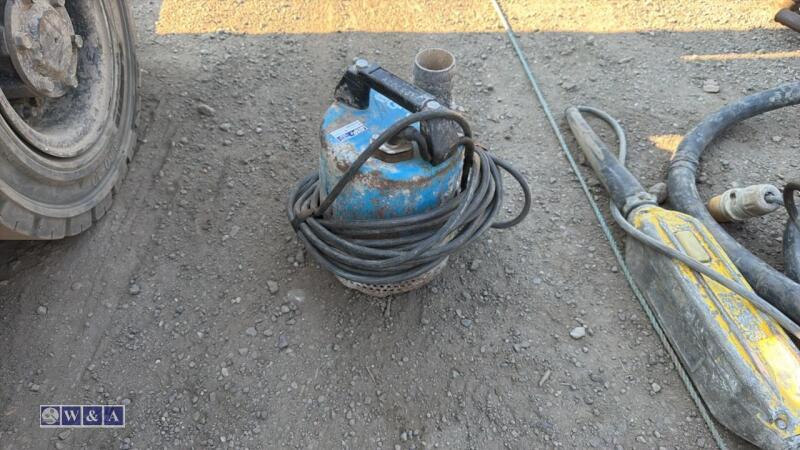 110v submersible pump (3257079)