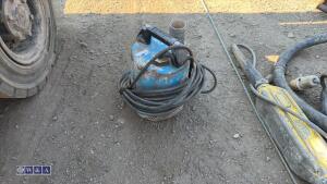 110v submersible pump (3257079)