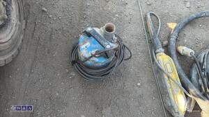 110v submersible pump (3257079) - 2