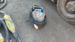 110v submersible pump (3257079) - 3