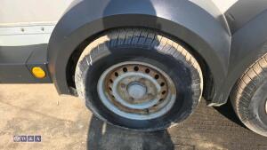 IFOR WILLIAMS HB511 2.7t twin axle horse trailer (s/n 5081857) - 12