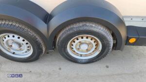 IFOR WILLIAMS HB511 2.7t twin axle horse trailer (s/n 5081857) - 13