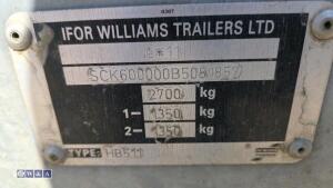 IFOR WILLIAMS HB511 2.7t twin axle horse trailer (s/n 5081857) - 25