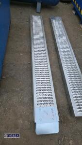Pair of metal ramps
