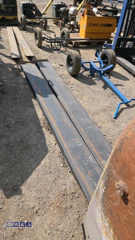Forklift extensions