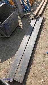 Forklift extensions - 2