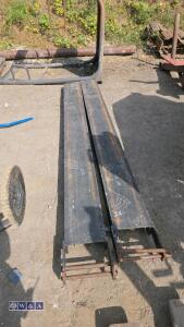 Forklift extensions - 3