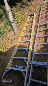 Electricians stepladder - 3