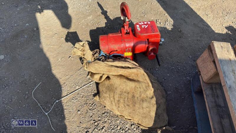 Pneumatic chain hoist