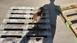 Chain hoist - 2
