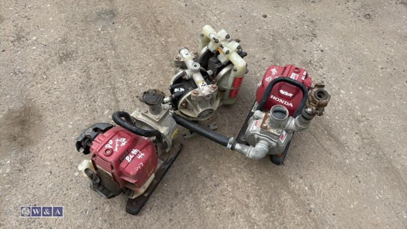 2 x water pumps & 2 x pneumatic diaphragm pumps
