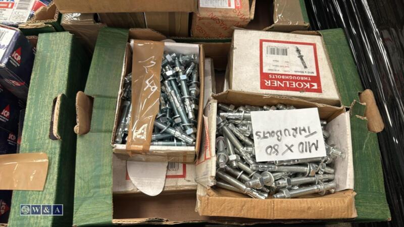 Box of M10/80 throughbolts