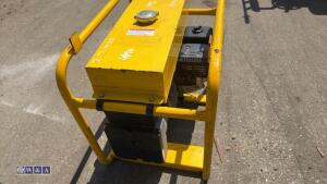 HARRINGTON dual volt 110v generator - 4
