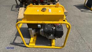 HARRINGTON dual volt 110v generator - 3