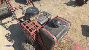 FERRIS pedestrian mower - 3