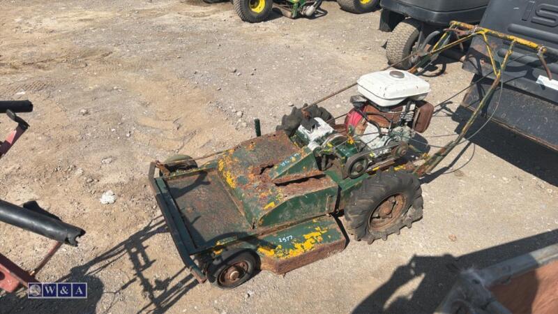 Petrol pedestrian mower
