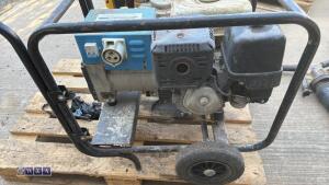 STEPHILL petrol dual volt generator (3421991) - 4