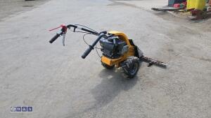 Stiga petrol scythe - 5