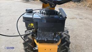 Stiga petrol scythe - 12