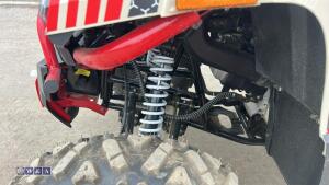 TAO MOTOR TITAN 250 2wd petrol quad bike c/w front winch, tow bar & lighting kit (s/n L9NACRFXS1200369) - 13