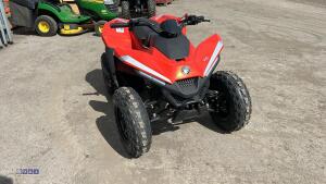 SKYTRON CUB110 2wd petrol quad bike (s/n HS8000031) (unused) - 3