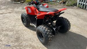 SKYTRON CUB110 2wd petrol quad bike (s/n HS8000031) (unused) - 6