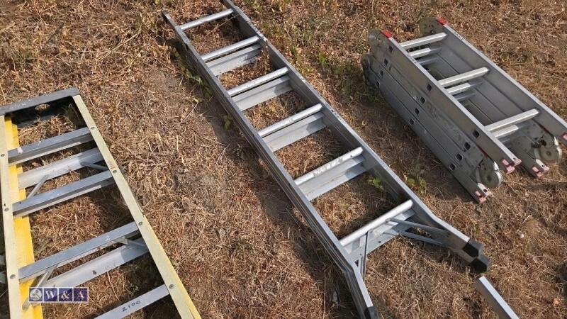 Double ladder