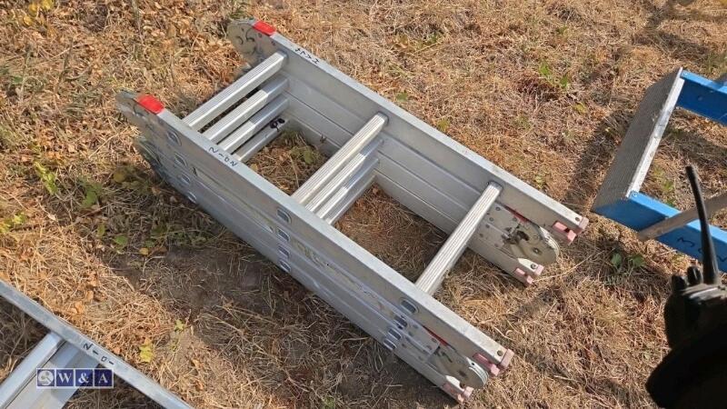 Folding ladders