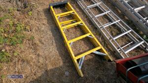 Electrician steps
