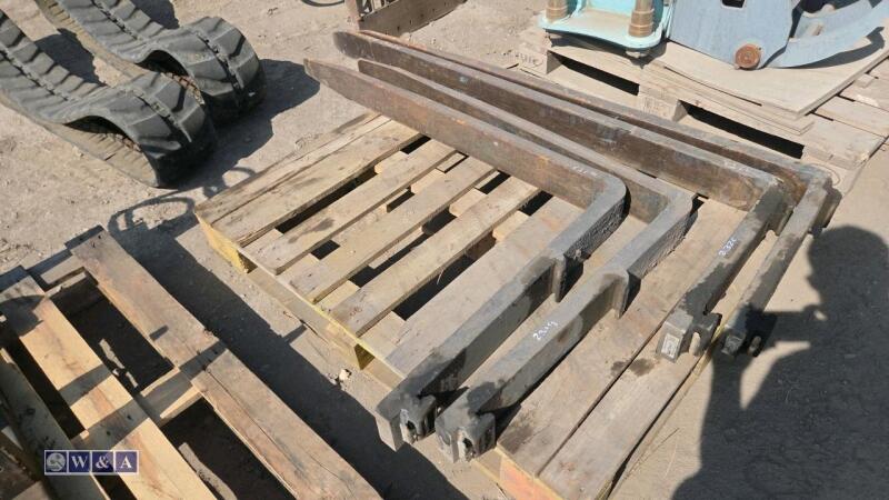 Set of pallet forks