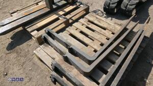 Set of pallet forks - 2