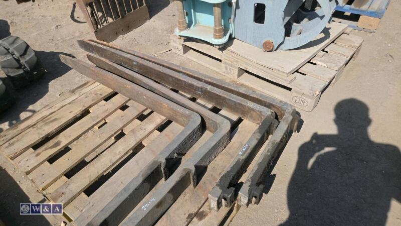 Set of pallet forks