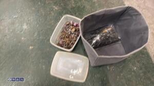 Box of drill / polishing bits - 4