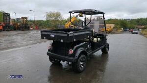 STAR EV utv - 5