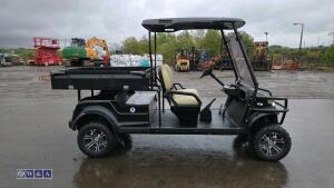 STAR EV utv - 6