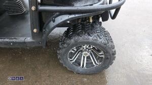 STAR EV utv - 12