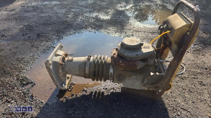 WACKER NEUSON petrol trench rammer (3364827)