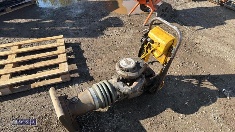 WACKER NEUSON BS60-2 petrol trench rammer