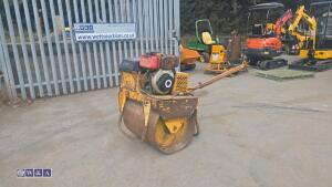 Pedestrian roller