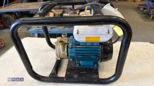 TELLARINI 110v fuel transfer pump - 4