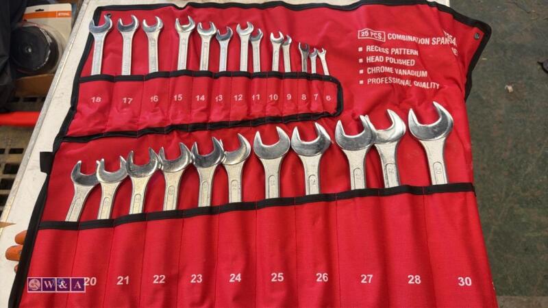 25pc spanner set