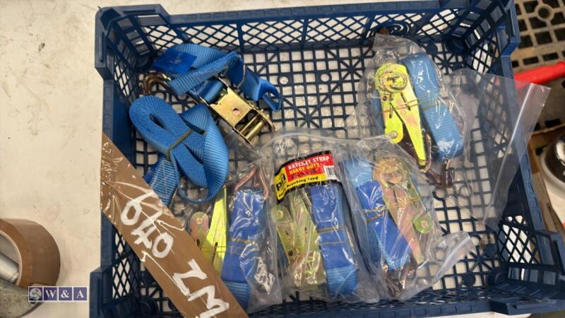 Box of ratchet straps