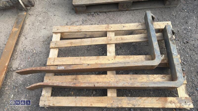 Pair of forklift tines