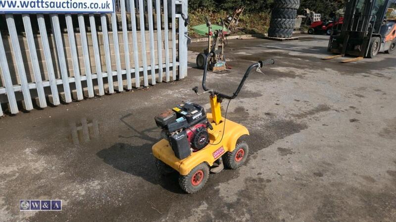 Petrol turf cutter