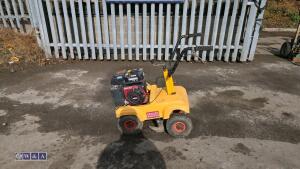 Petrol turf cutter - 2