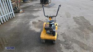 Petrol turf cutter - 20