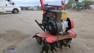 MTD petrol rotavator - 12