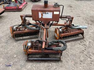 SISIS triple head scarrifier with Pto shaft - 4